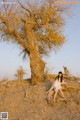 A woman sitting on top of a tree in the desert.